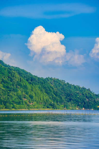 istock Biwa lake in summer 1415587358