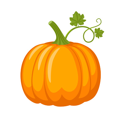 Orange pumpkin. Autumn symbol. Vector illustration isolated on white background.