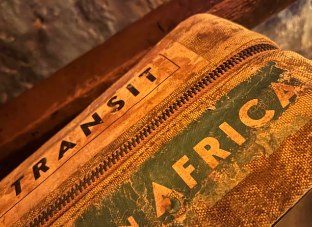 istock Travelling to Africa 1415588936