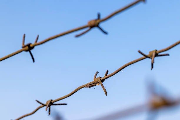 istock Old barbed wire against the blue sky 1415590984
