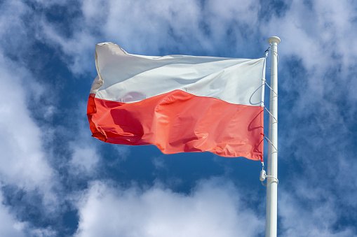 POLISH Flag Button - 3D Rendering