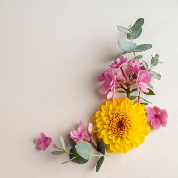 istock Floral composition greeting card mockup. Pink and yellow flowers with copy space. Hydrangea, dahlias and eucalyptus. 1415595720