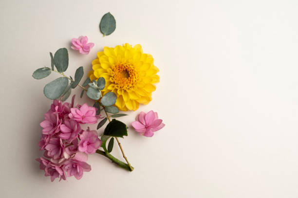 istock Floral composition greeting card mockup. Pink and yellow flowers with copy space. Hydrangea, dahlias and eucalyptus. 1415595844