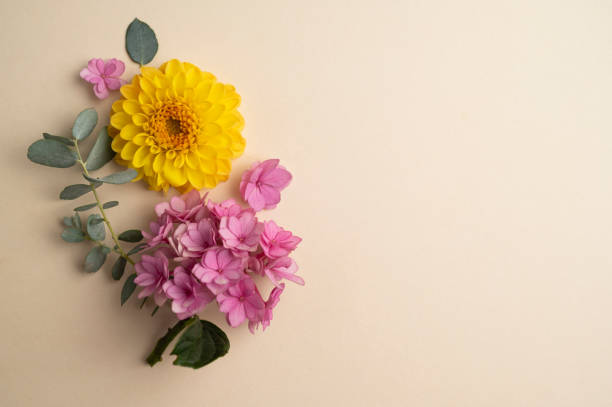 istock Floral composition greeting card mockup. Pink and yellow flowers with copy space. Hydrangea, dahlias and eucalyptus. 1415595848