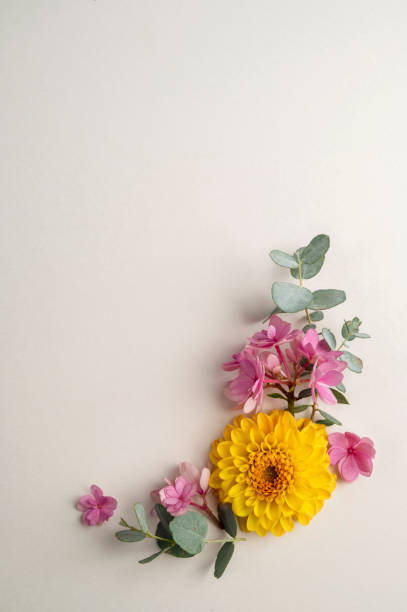 istock Floral composition greeting card mockup. Pink and yellow flowers with copy space. Hydrangea, dahlias and eucalyptus. 1415595882