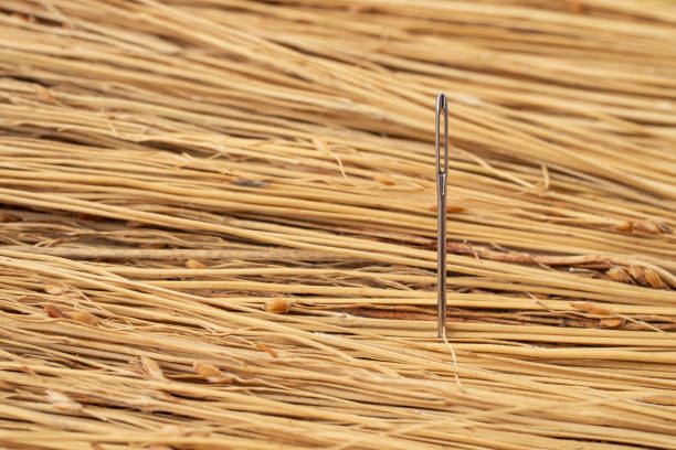 Close-up rusty steel pointed