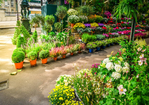 istock Paris flower market 1415598072