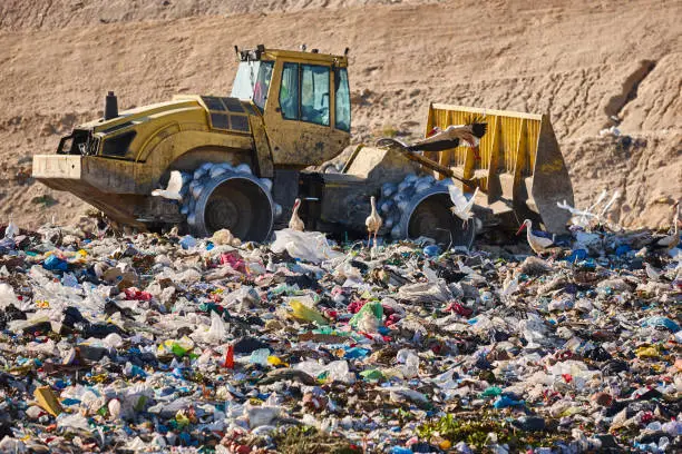 Photo of Heavy machinery shredding garbage in an open air landfill. Pollution