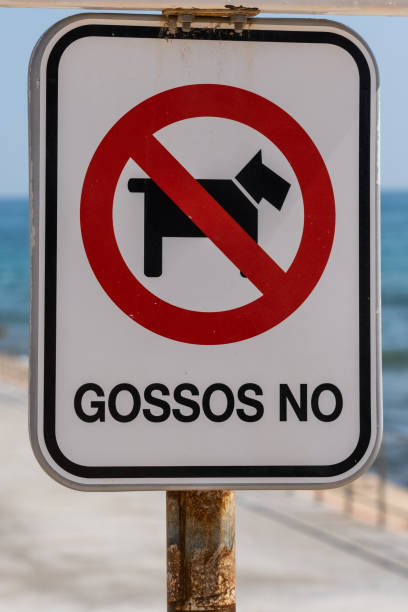 istock No pets allowed sign on the beach 1415608224