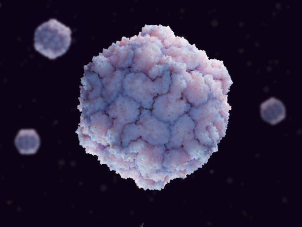istock Polioviruses. Poliovirus causes poliomyelitis. 1415611546