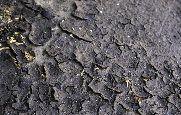 istock Dry and cracked oil 1415622134