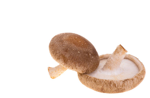 istock shiitake mushrooms isolated 1415623956