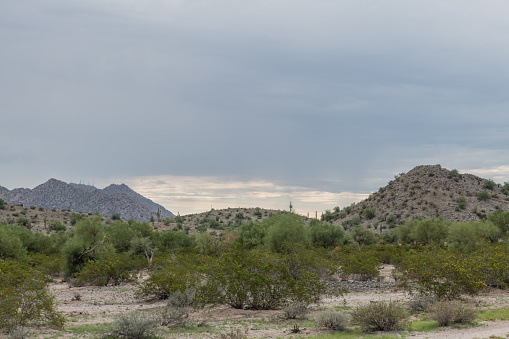 Scenic southern Arizona vista in early morning under dramatic monsoonal sky