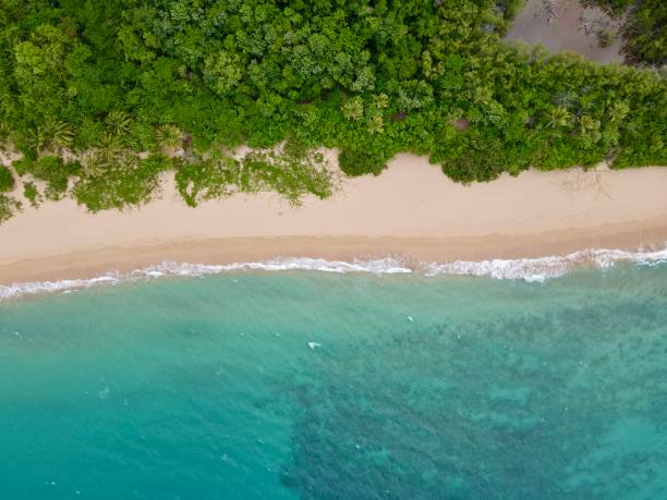 istock Texture of the Grande Anse beach in Dehais 1415627557