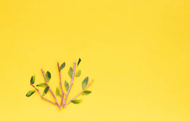 istock green leaves on a yellow background. nature conservation concept 1415628575