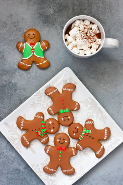 Mug filled with hot chocolate  and gingerbread cookies