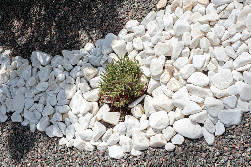 Pebbles, small white stones, the texture of the stone. Flower bed design