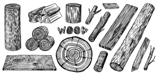Wood set. Planks and logs, lumber and Cuts, Firewood in vintage style. Pieces of Tree. Vector illusion for signboard, labels, logo or banner. Campfire material. Vector illustration