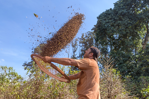 A man cleaning coffee berries using a large sieve to remove dirt and dust