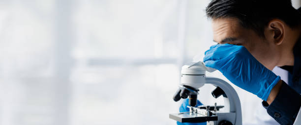 Laboratory assistants are investigating chemical reactions, medical scientists, chemical researchers, chemical experiments and disease testing from patient blood samples. Medicine and research concept los asistentes de laboratorio están investigando reacciones químicas, científicos médicos, investigadores químicos, experimentos químicos y pruebas de enfermedades a partir de muestras de sangre de pacientes. concepto de medicina e investigación