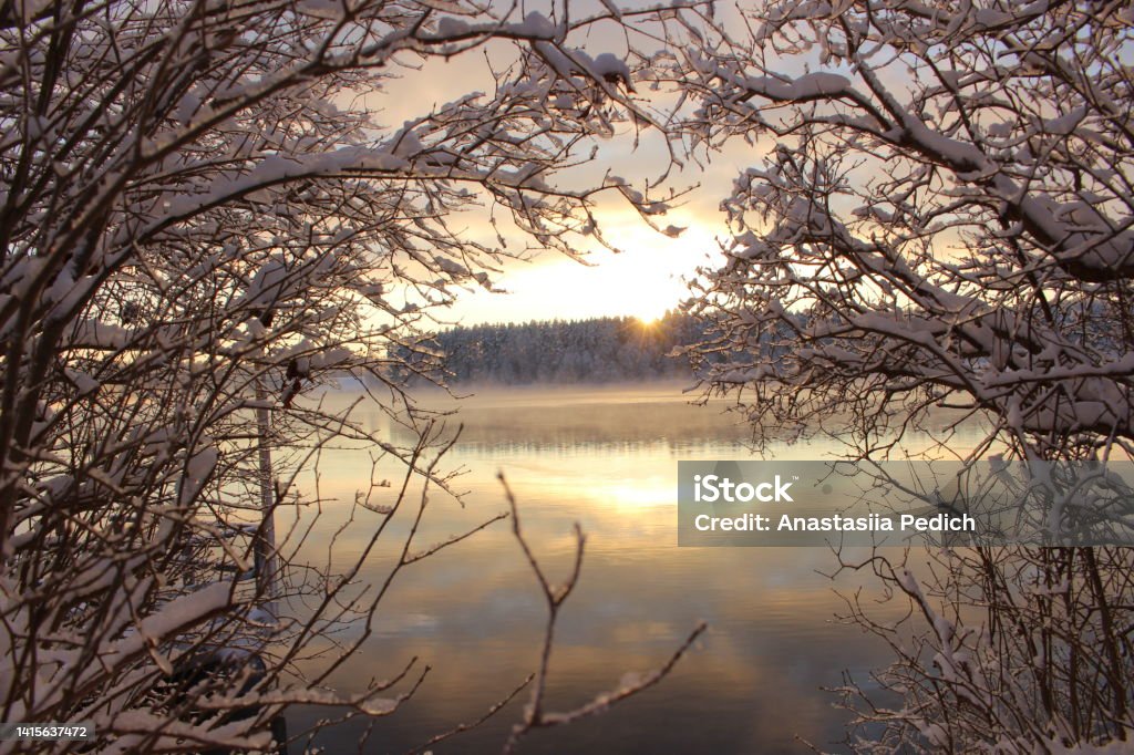 Beautiful winter background. River. Beautiful winter landscape. River through the branches of snow-covered trees. Winter Stock Photo