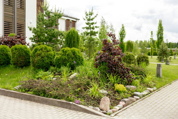 istock Various plants and stones in front of modern house, front yard. Landscape design. Beautiful garden. Modern urban living residences with private courtyards. Green outdoor facilities, lawn. Garden care. 1415637598