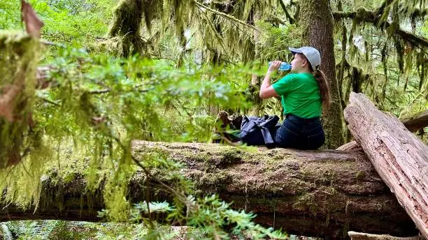 Photo of Girl in hike. Traveler in mountain forest Teenage girl in a green shirt Sitting on a big fallen tree MacMillan Provincial Park canada vancouver island travel travel agency