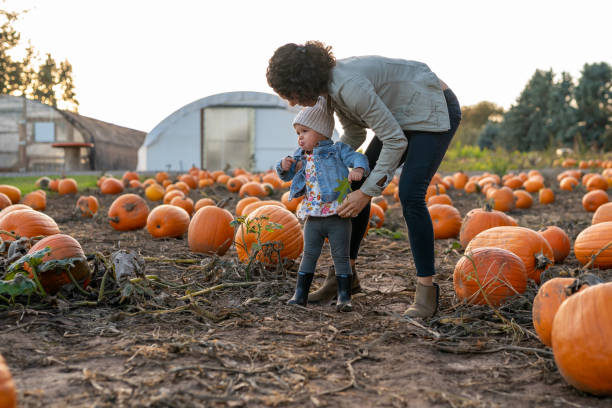 istock Ethnic thirty year old mom playing with her toddler at a pumpkin patch 1415641390