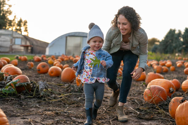 istock Ethnic thirty year old mom playing with her toddler at a pumpkin patch 1415641392
