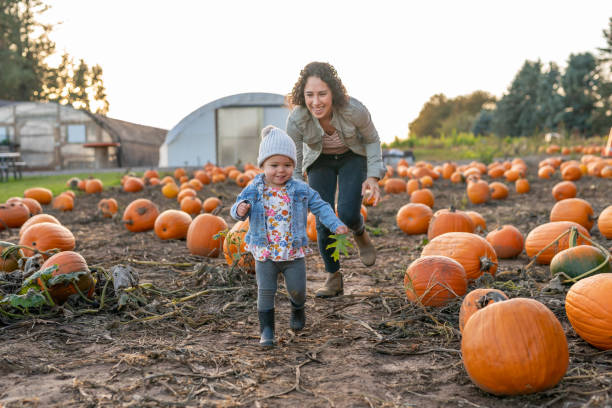 istock Ethnic thirty year old mom playing with her toddler at a pumpkin patch 1415641395