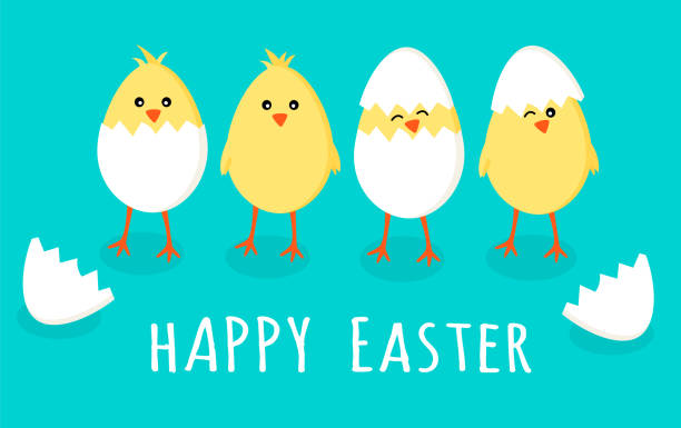 istock Easter greeting card with four cute little yellow chicks in cracked eggs and egg shell with sign text happy easter, vector graphic illustration. Easter themed, cartoon flat illustration isolated on blue green background. 1415645400