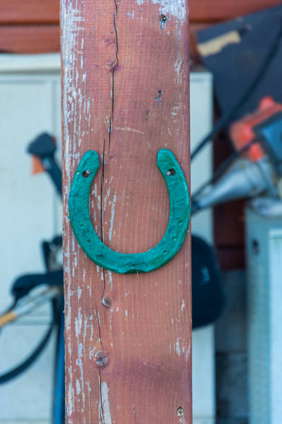 istock Green horseshoe in the yard 1415648633