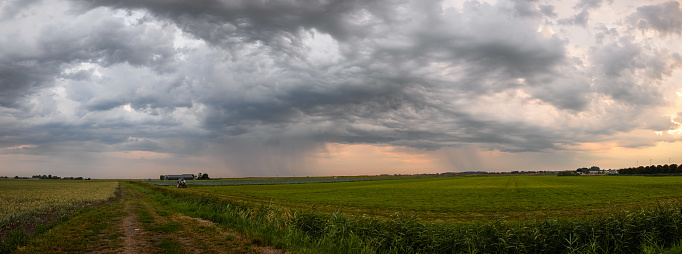 Dark black clouds from severe storm blanket wind turbines in the middle of a grain crop along side dirt road. Clean renewable energy, metaphor, concepts, ideas