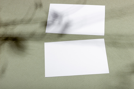 Mockup with blank horizontal sheets of paper with copy space. Hard sunlight and shadows on a green background. Template for business layout. Top view, flat lay