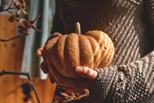 Female in knitted brown woolen sweater holding orange pumpkin. Cozy autumn vibes. Fall mood. Thanksgiving. Halloween.