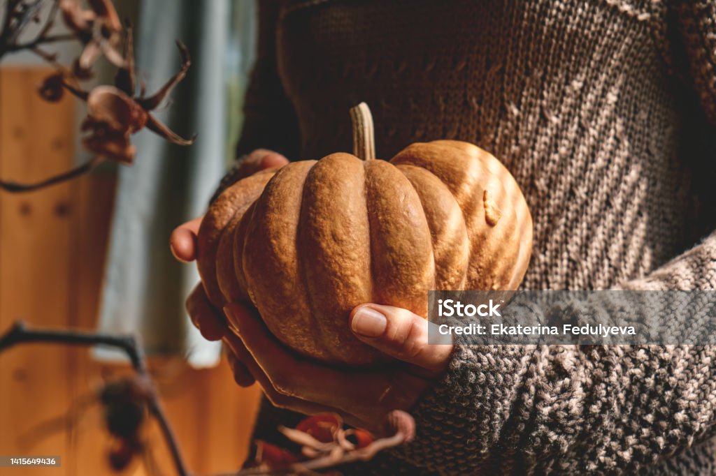 Female in knitted brown woolen sweater holding orange pumpkin. Cozy autumn vibes. Fall mood. Thanksgiving. Halloween. Autumn Stock Photo