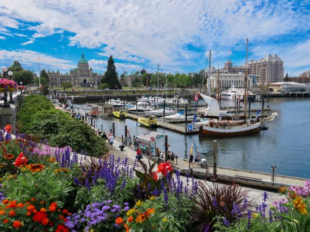 istock Flowers at the Harbor 1415650932