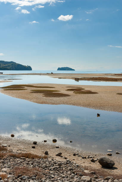 park narodowy abel tasman wyspa południowa nowa zelandia - abel tasman national park zdjęcia i obrazy z banku zdjęć