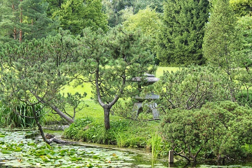 Beautiful landscape view in Japanese traditional botanical decorative garden. Calm nature scene of green summer lake pond water and pagoda lantern. Zen, meditation, harmony concept