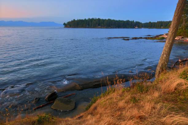 istock Island at Dusk 1415658517