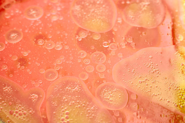 istock abstract orange background formed by oil drops on water 1415661275