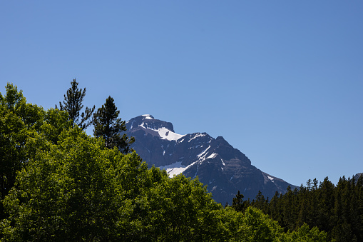 A mountain in Glacier National Park, partly obscured by trees