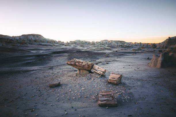 istock Petrified wood in De-Na-Zin Wilderness 1415666948
