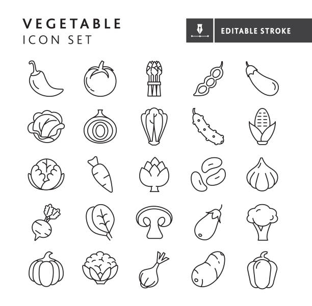 Whole and sliced fresh vegetables thin line Icon set - editable stroke Vector illustration of a set of black thin line healthy vegetable icons. Includes chili pepper, tomato, asparagus, bean, eggplant, cabbage, onion, romaine lettuce, cucumber, corn on the cob, head lettuce, carrot, artichoke, beans, garlic, beet, baby spinach, mushroom, broccoli, pumpkin, cauliflower, green onion, potato and bell pepper. On white background. Simple set that includes vector eps and high resolution jpg in download. cauliflower nutrition stock illustrations