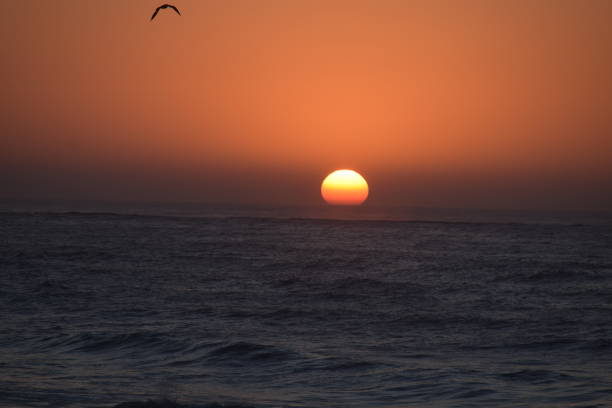 istock Sunset in Casablanca 1415670898