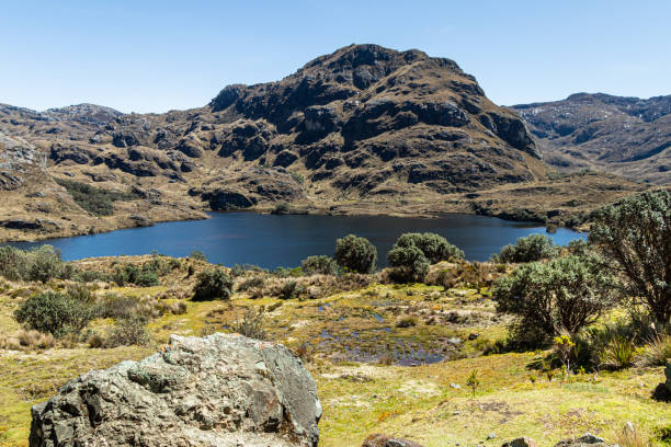 istock El Cajas National park, Toreadora lake. 1415671127