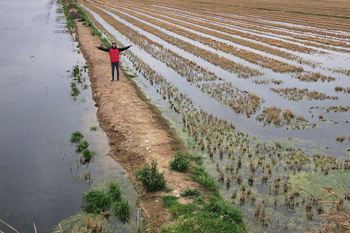 Hiker with red jacket and open arms by flooded rice crop