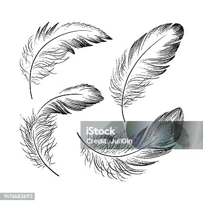 istock A set of delicate feathers drawn in black ink. Texture brush and paint. Vector illustration 1415682693