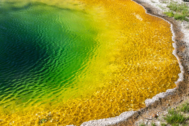 la célèbre source chaude colorée de la piscine morning glory dans le parc national de yellowstone aux états-unis - spring ride photos et images de collection