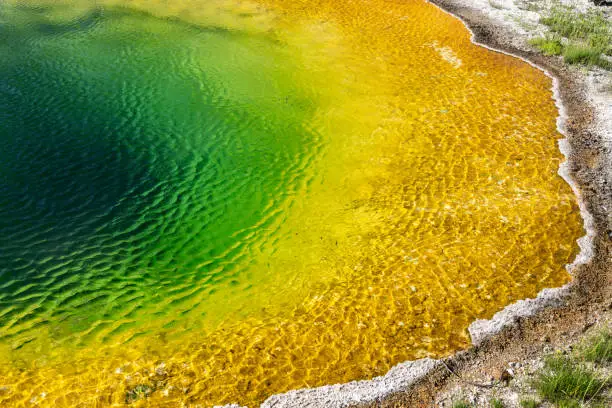 Photo of The colorful, famous Morning Glory pool hot spring in Yellowstone National Park USA
